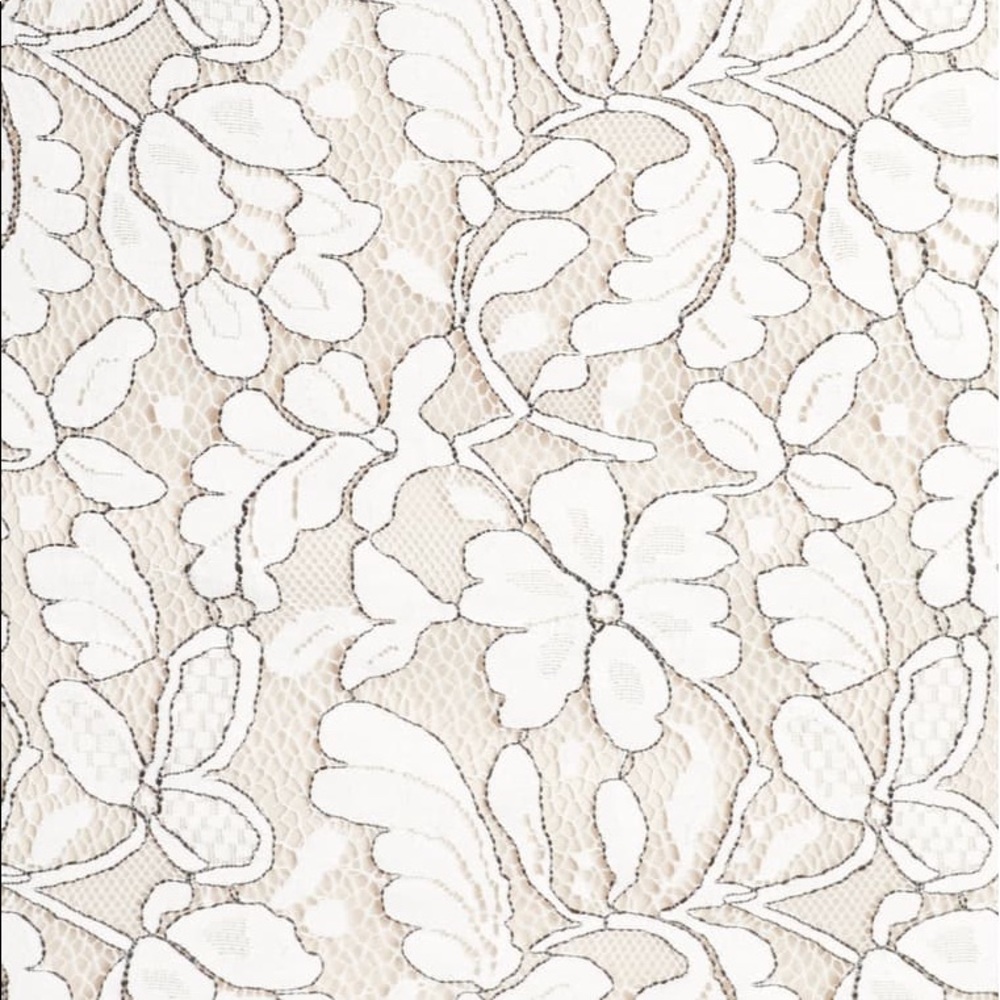 Lace Dress - Picture 6 of 9